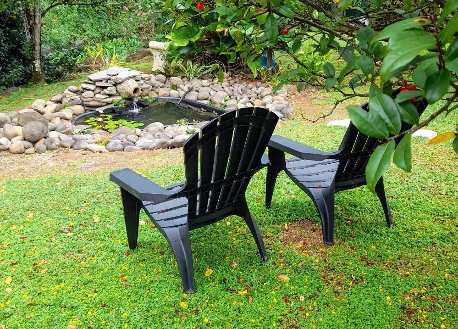 Les Bromelias Chez Djo Et Rosy Lejlighed Sainte-Marie