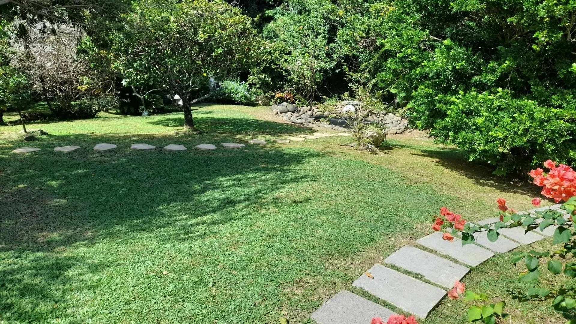 Les Bromelias Chez Djo Et Rosy Lejlighed Sainte-Marie
