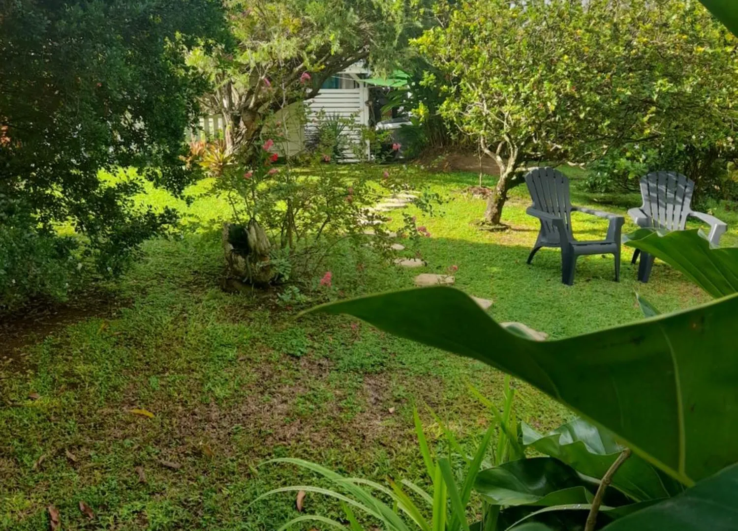 Les Bromelias Chez Djo Et Rosy Lejlighed Sainte-Marie 0*,  Martinique