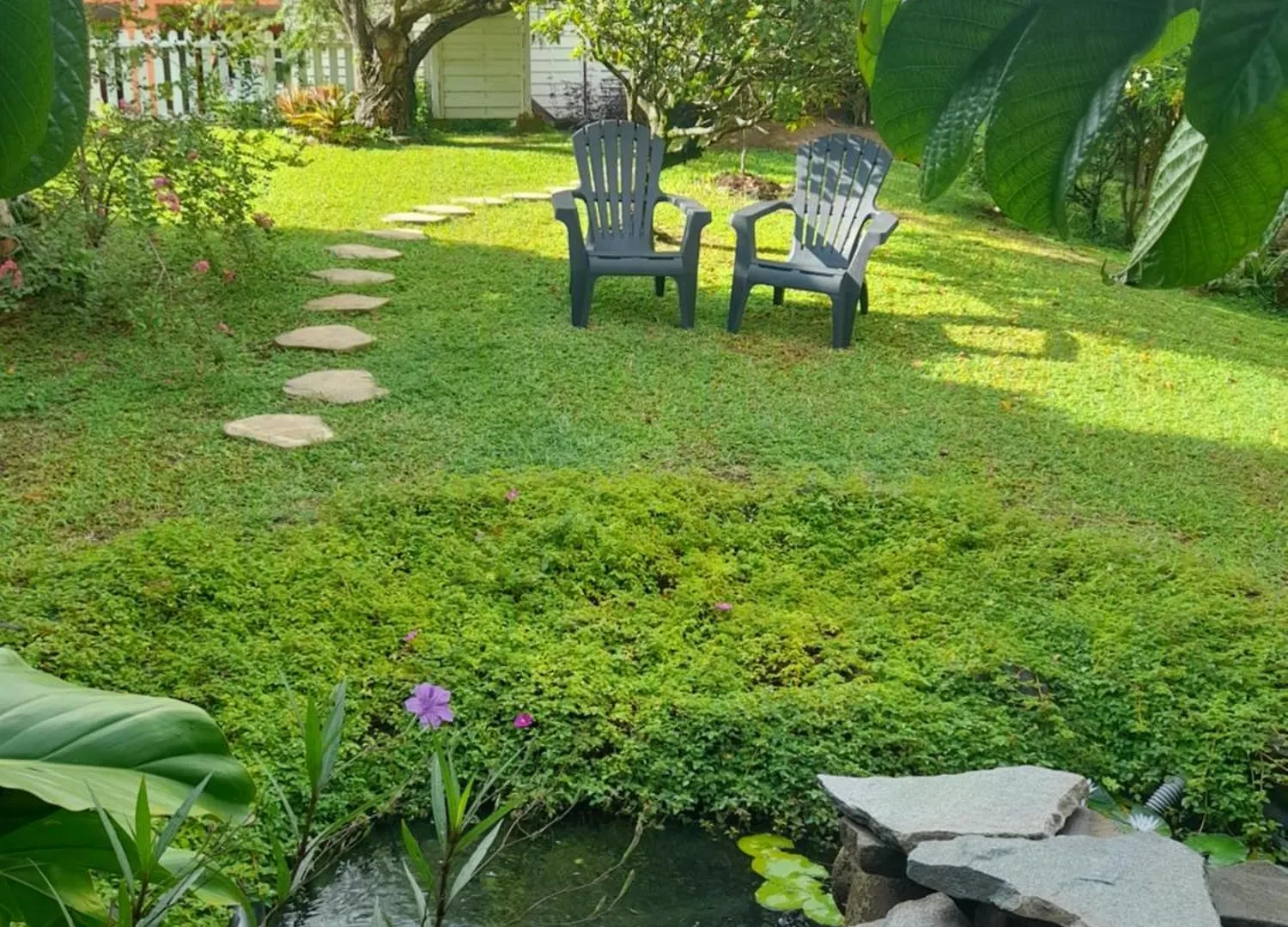 Les Bromelias Chez Djo Et Rosy Lejlighed Sainte-Marie