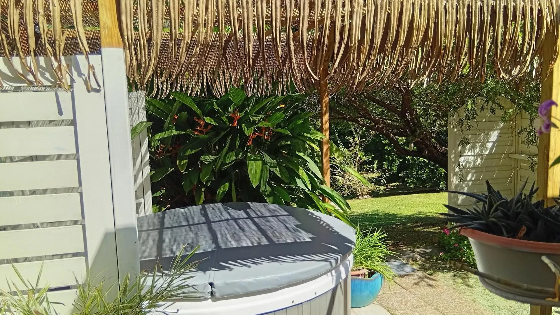 Les Bromelias Chez Djo Et Rosy Lejlighed Sainte-Marie