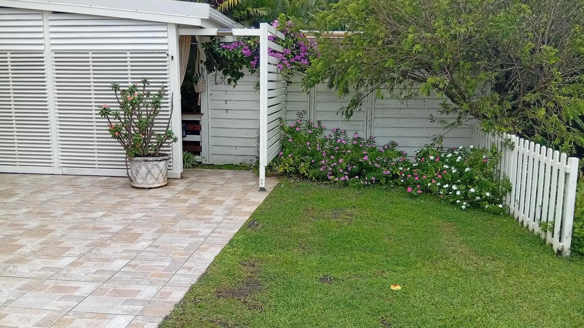 Les Bromelias Chez Djo Et Rosy Lejlighed Sainte-Marie